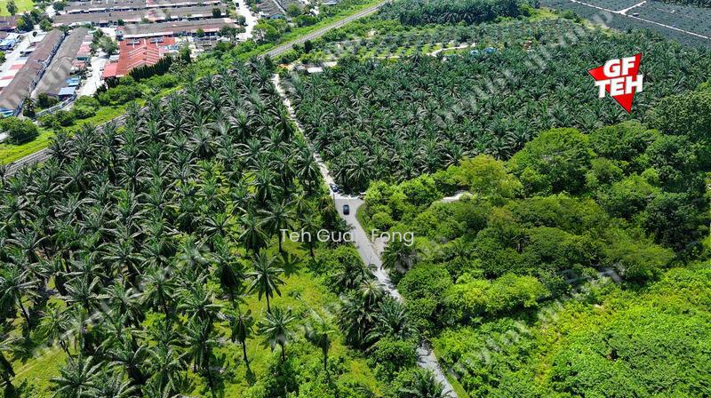 3.92 acres Residential Land Simpang Ampat | Tar Road access | Penang - 5