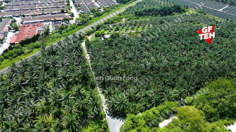 3.92 acres Residential Land Simpang Ampat | Tar Road access | Penang - 3