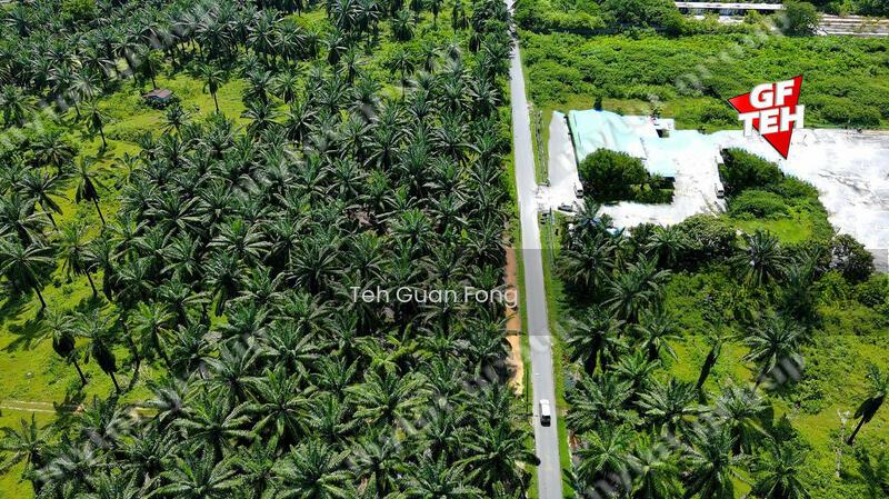 3.92 acres Residential Land Simpang Ampat | Tar Road access | Penang - 4