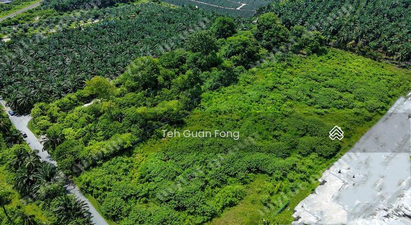 3.92 acres Residential Land Simpang Ampat | Tar Road access | Penang - 2