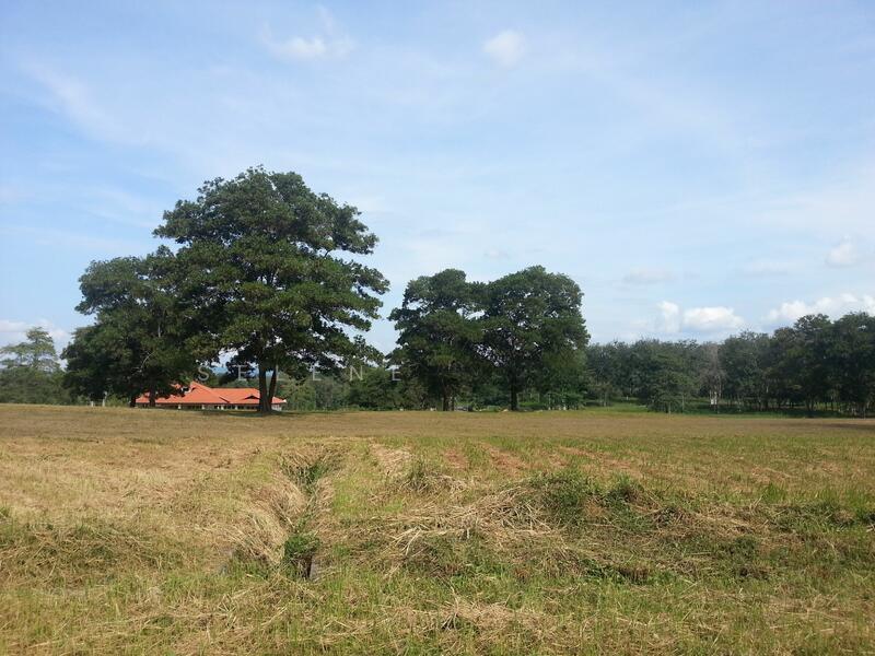 Bungalow Land at College Heights Garden Resort - 4