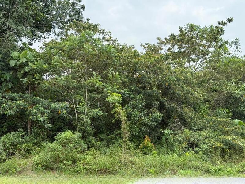 Bungalow Land at College Heights Garden Resort - 2