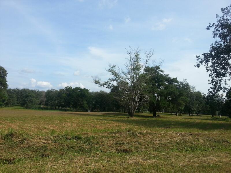 Bungalow Land at College Heights Garden Resort - 1