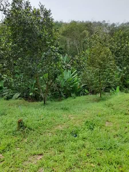 Bidor - Sungkai Road - 3