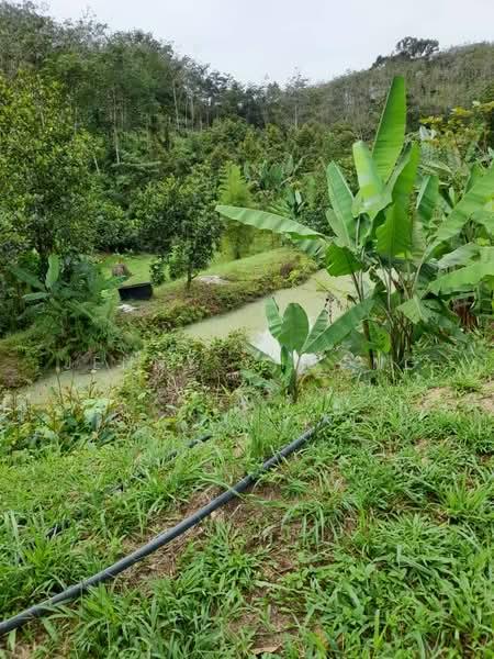 Bidor - Sungkai Road - 4
