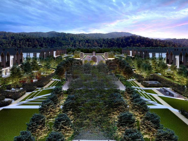 Eco Forest - 2