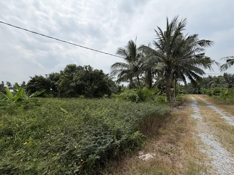 Teluk Gong - 5