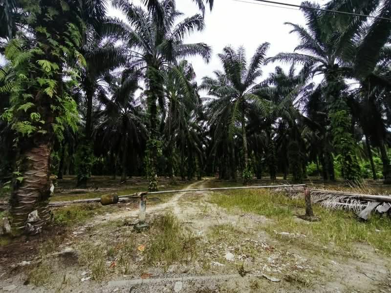 Gelang Patah Second Link Residential Land - 2