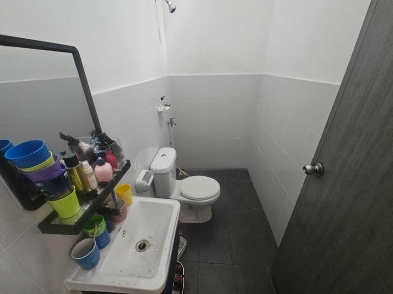 Pulai mutiara, Kangkar Pulai - 3