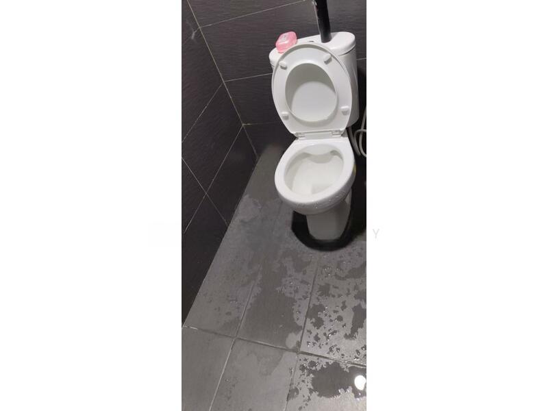 Jalan Seroja, Taman Johor Jaya - 5