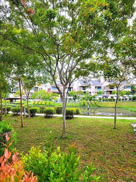 Setia Greens - 4