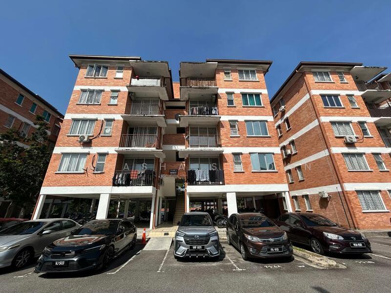 Alam Budiman (Sri Budiman) - 1