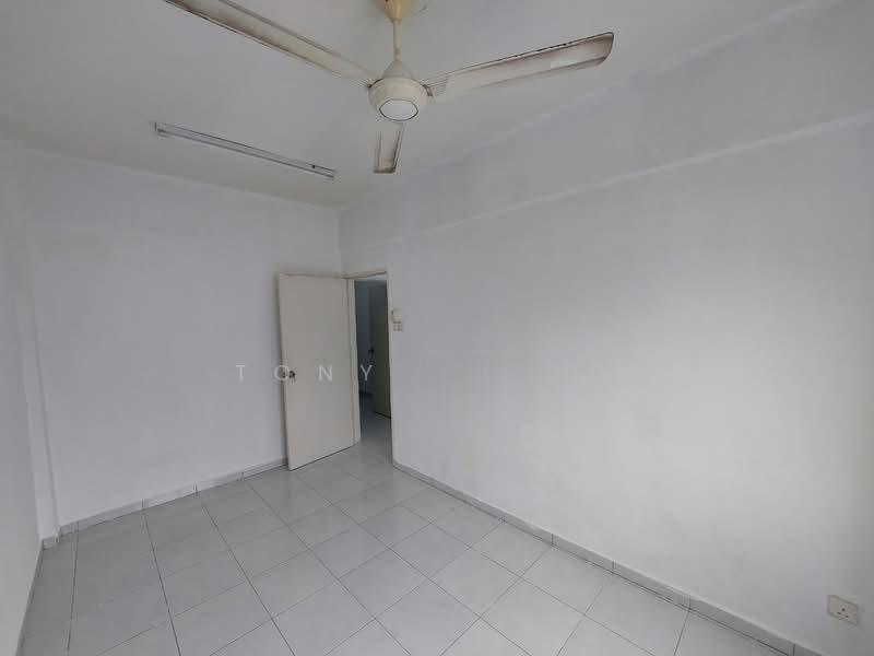 Shineville Garden - 3