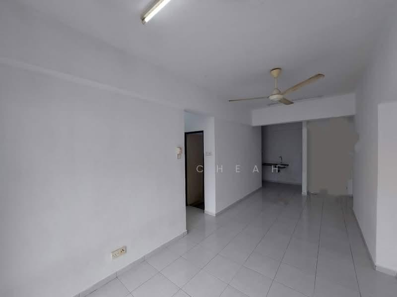 Shineville Garden - 1