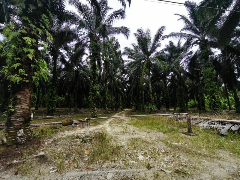 Gelang Patah Second Link Residential Land - 2