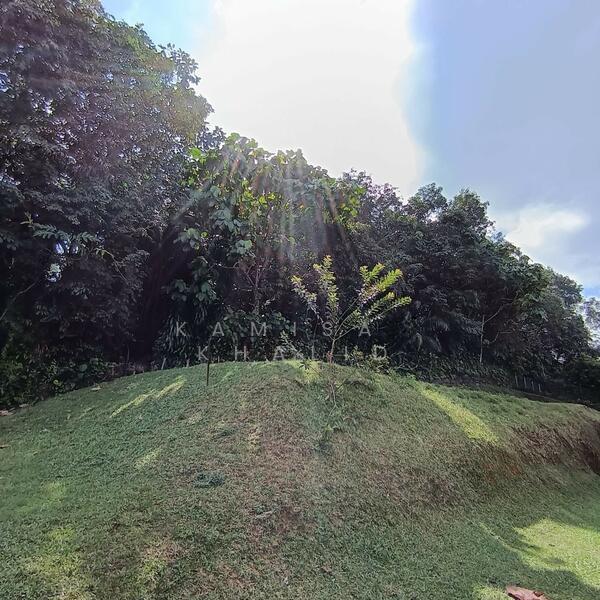 Bukit Gasing Bungalow - 5