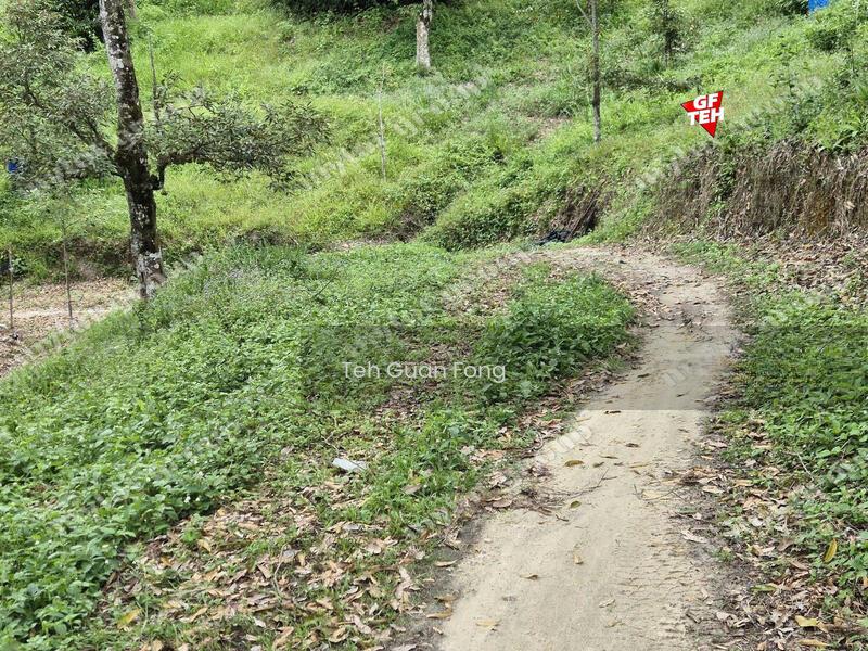8.73 acres Mountain Land Durian Farm Junjung Kulim Kedah b - 3