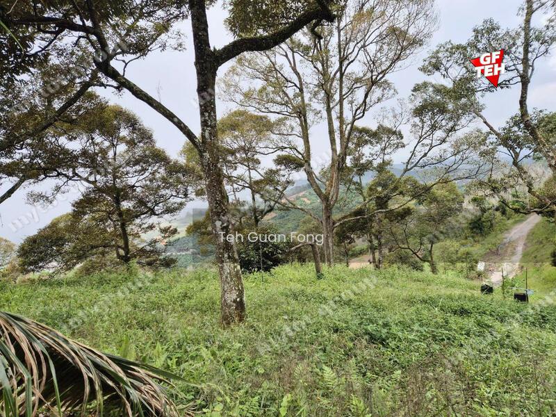 8.73 acres Mountain Land Durian Farm Junjung Kulim Kedah b - 4