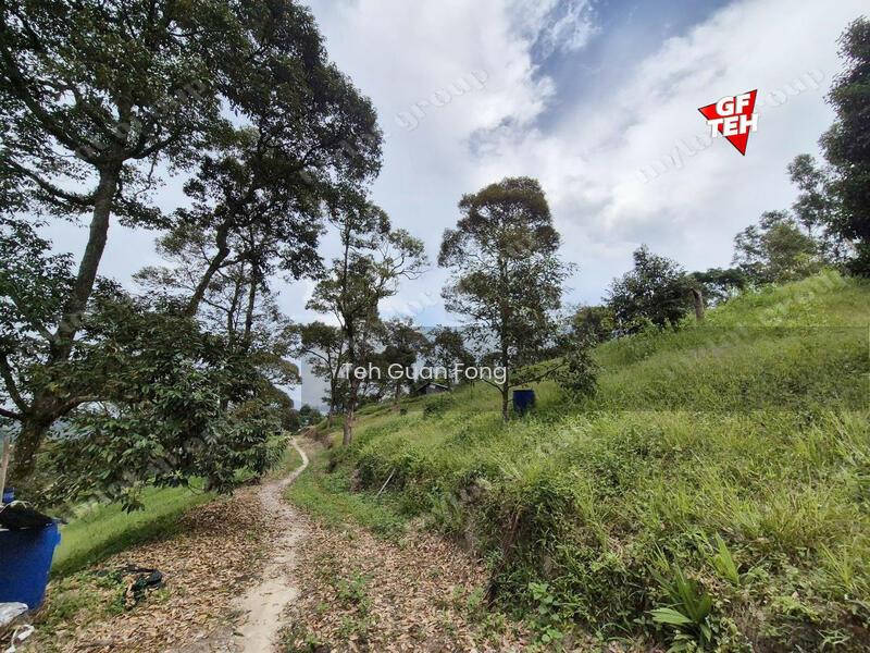 8.73 acres Mountain Land Durian Farm Junjung Kulim Kedah b - 2