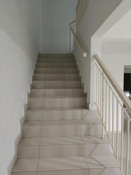 Pulai Hijauan Kangkar Pulai - 3