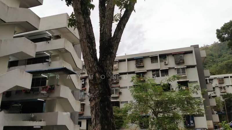 Taman Paya Terubong - 2
