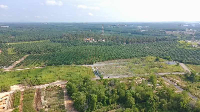Yong Peng Development Land - 2