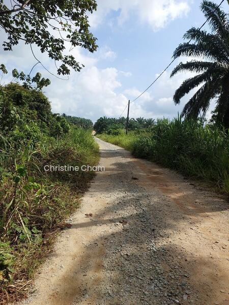 Kota Tinggi Agricultural Land for Sale - 3