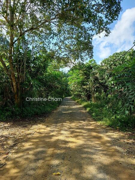 Kota Tinggi Agricultural Land for Sale - 1