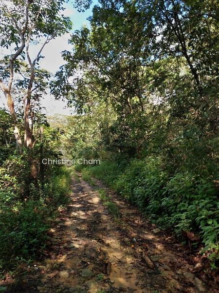 Kota Tinggi Agricultural Land for Sale - 2