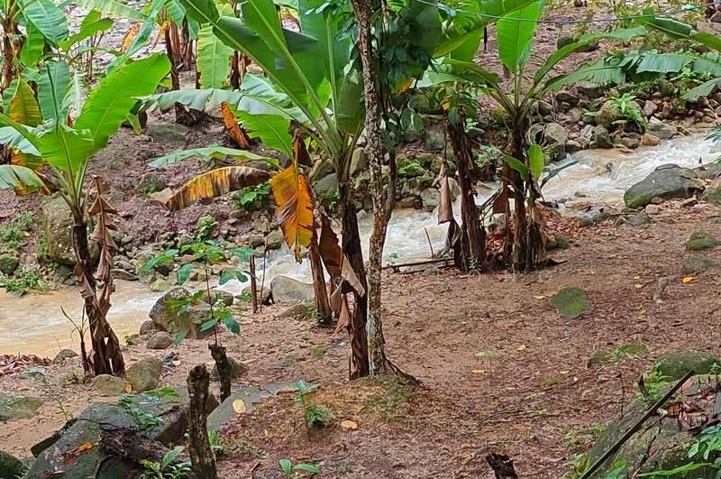 1.9 acre Kamunting Residential Land with Waterfall | Near Town area | Perak RM 14.95 psf - 4