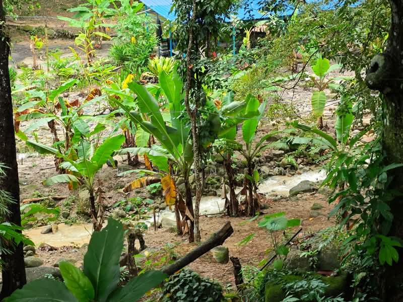1.9 acre Kamunting Residential Land with Waterfall | Near Town area | Perak RM 14.95 psf - 5