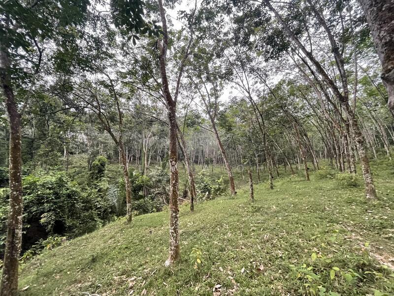 Taman Angsamas - 2