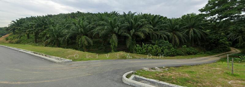 Taman Angsamas - 4