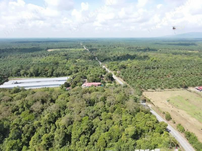 9.62 Acre Main Road | Zoning Residential | Selama | Perak Rm10 psf b - 3