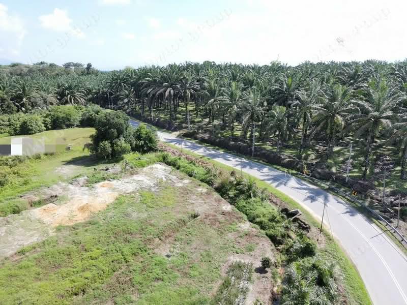 9.62 Acre Main Road | Zoning Residential | Selama | Perak Rm10 psf b - 4