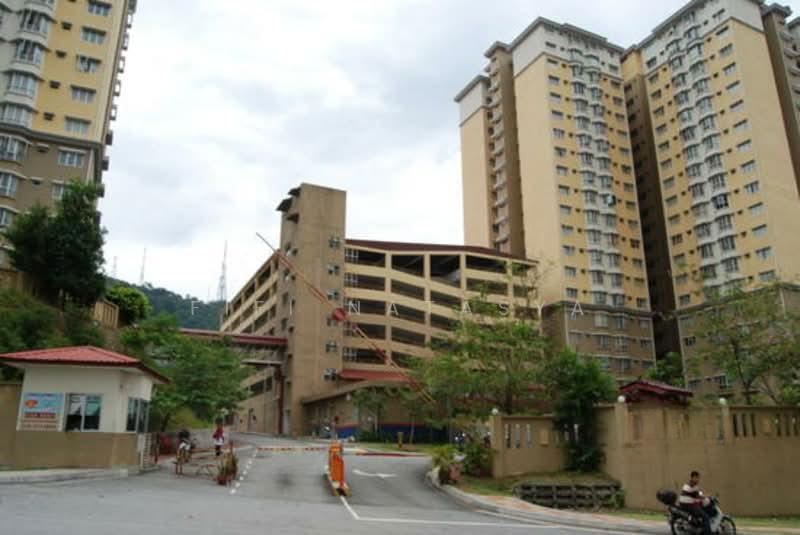 Puncak Banyan - 4