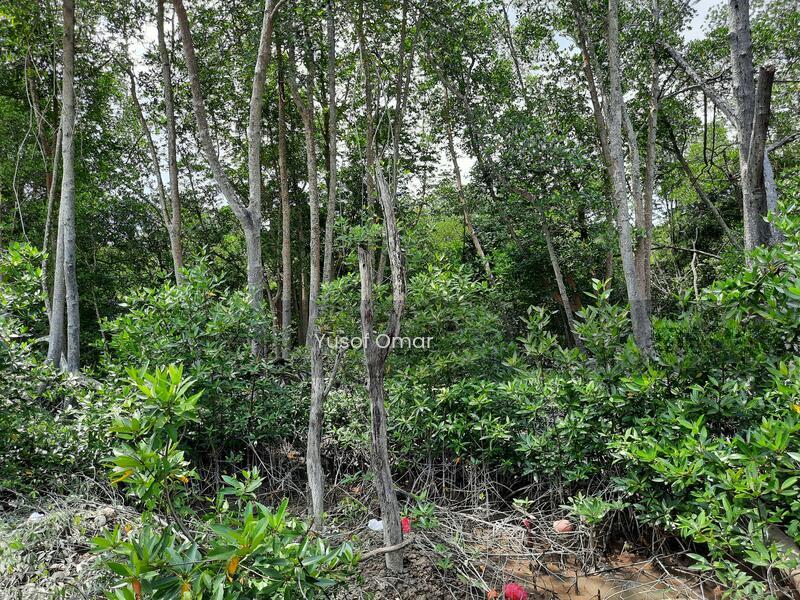 bungalow lot kg chuah baru port dickson - 3