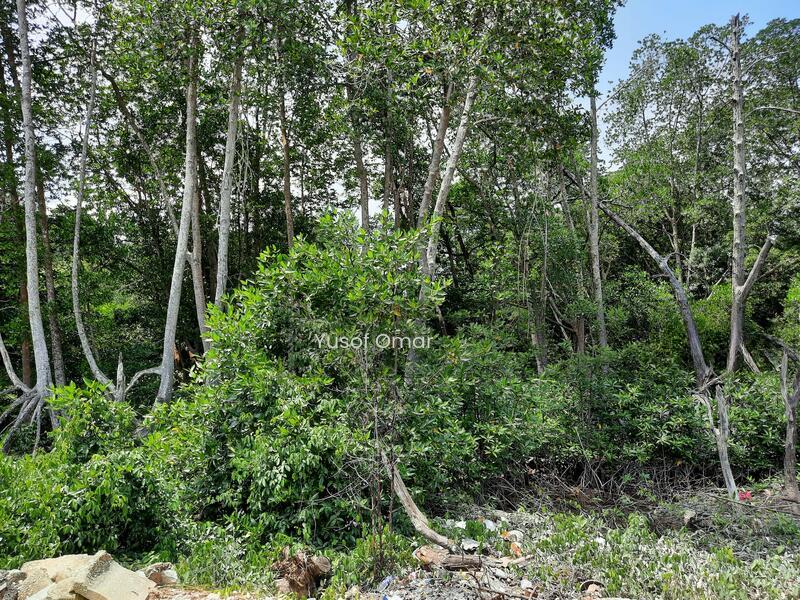 bungalow lot kg chuah baru port dickson - 1