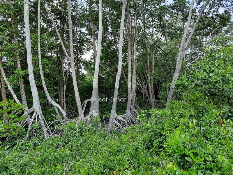 bungalow lot kg chuah baru port dickson - 2