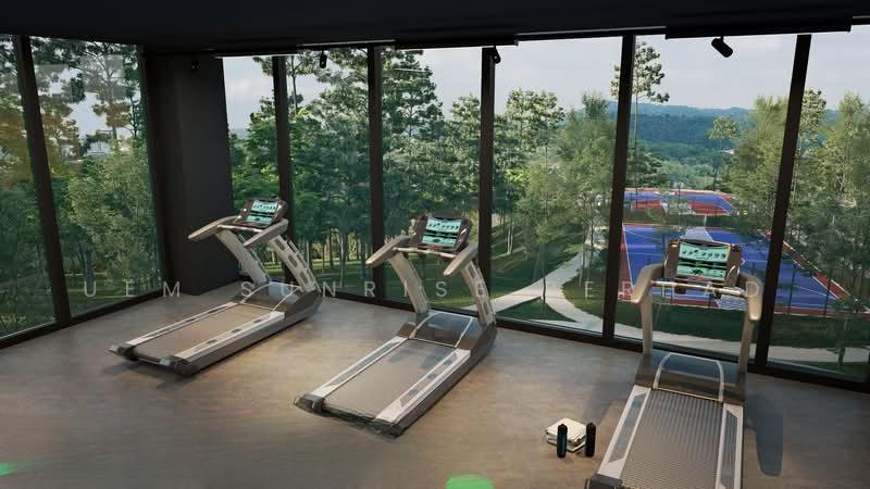 KAIA Heights Equine - 5