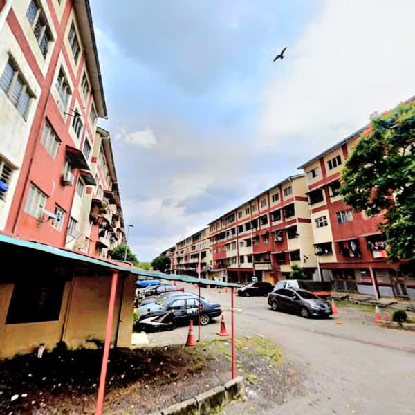 Seri Pulai - 4