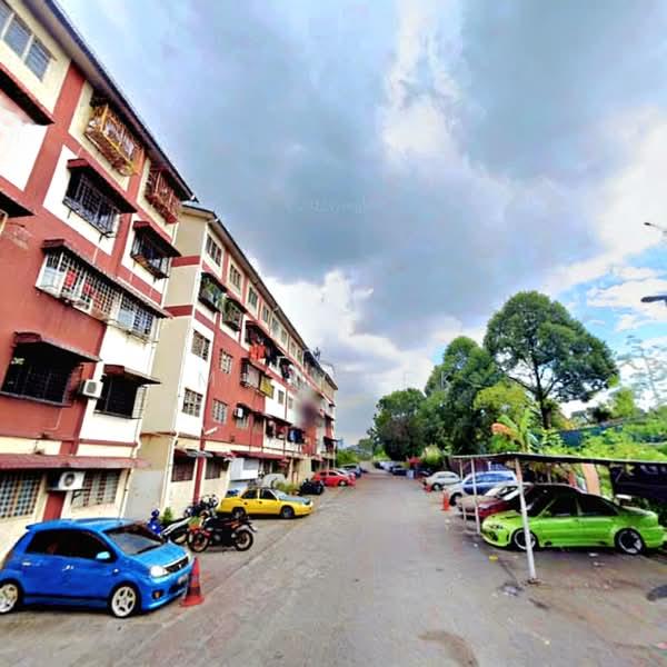 Seri Pulai - 3