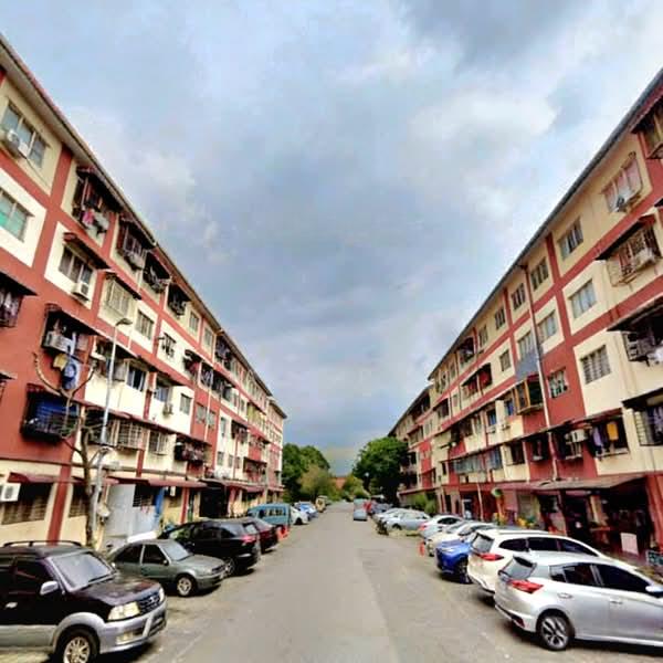 Seri Pulai - 5