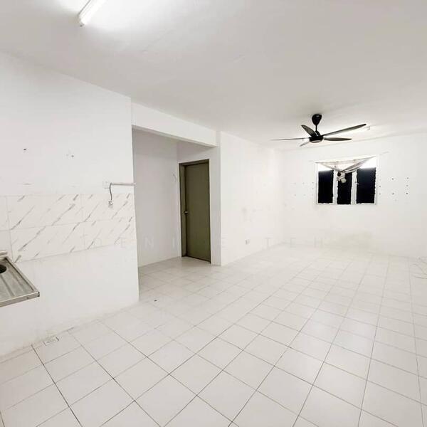 The Rise Collection 1 - 2