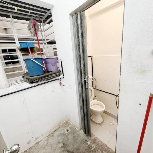 The Rise Collection 1 - 4