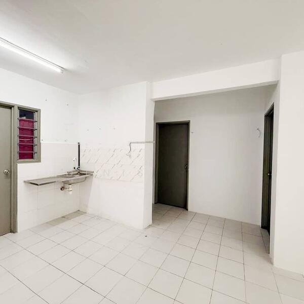 The Rise Collection 1 - 3