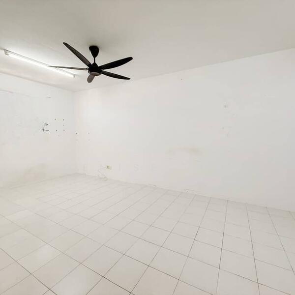 The Rise Collection 1 - 1