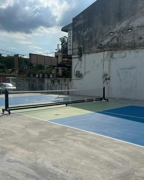 Jelutong - 5