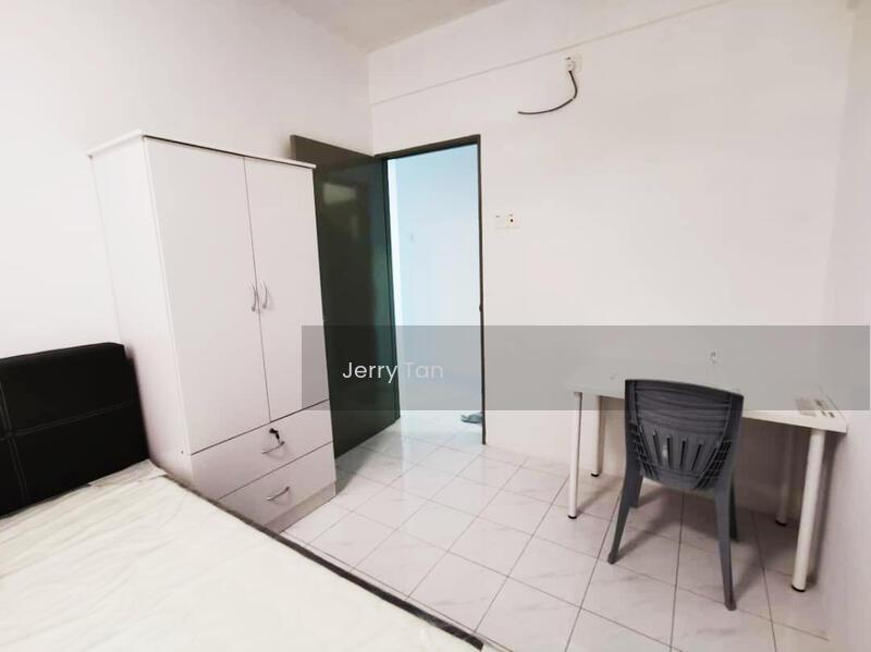 The Rise Collection 2 - 2