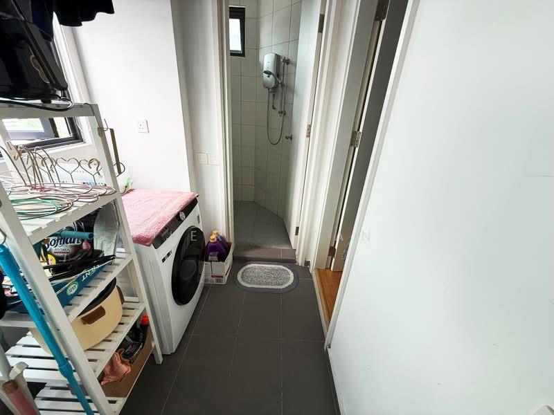 The LIGHT COLLECTION I - 2
